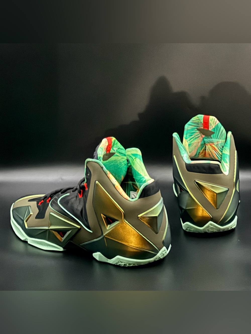 Nike LeBron 11 'King's Pride'